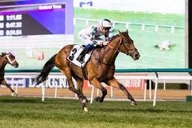Review: Gosden's Lord North Claims Gr.1 Dubai Turf Feature Image 3